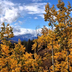 Meet your Posher, Lynley